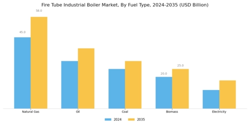 Fire Tube Industrial Boiler Market  Segment Image 0