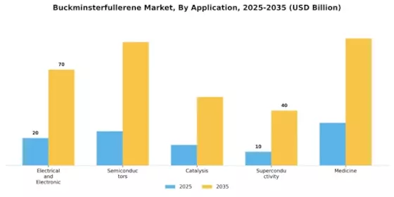 버크민스터풀러렌 시장 Segment Image 0