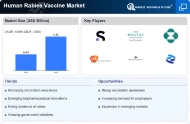 Human Rabies Vaccine Market Infographic