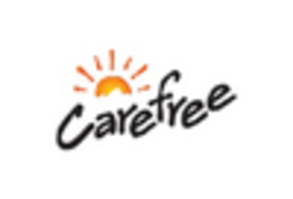 Recreational Vehicle Awning Market key player