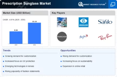 Prescription Sunglass Market Infographic