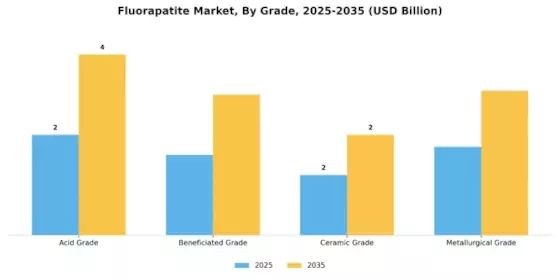 Fluorapatite Market Segment Image 1