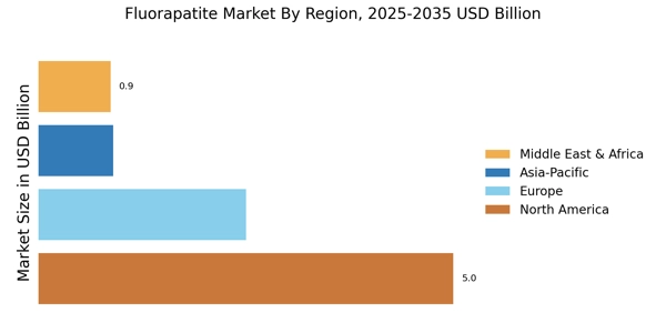 Fluorapatite Market Regional Image