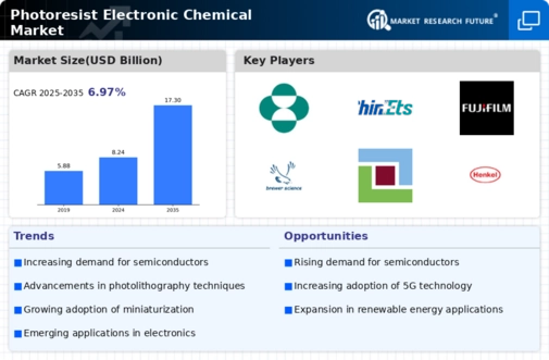 Photoresist Electronic Chemical Market Infographic