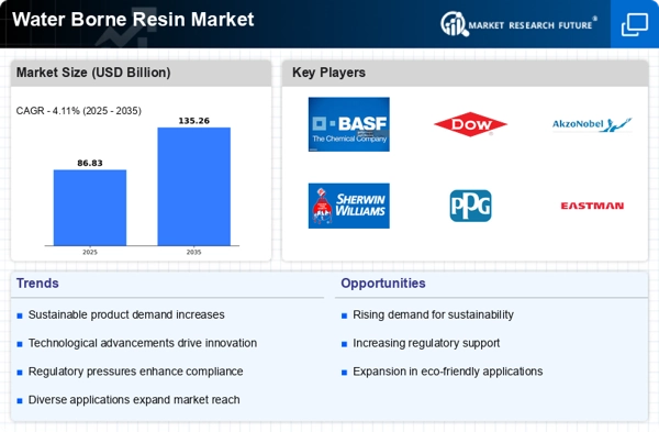 Water Borne Resin Market Infographic