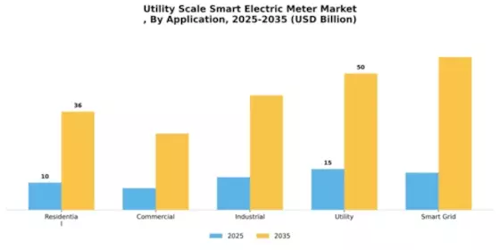 Utility Scale Smart Electric Meter Market
 Segment Image 0