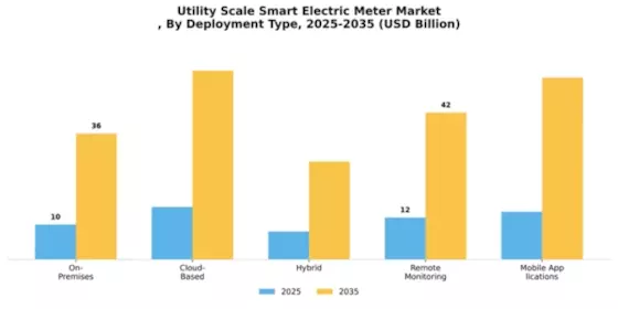 Utility Scale Smart Electric Meter Market
 Segment Image 2