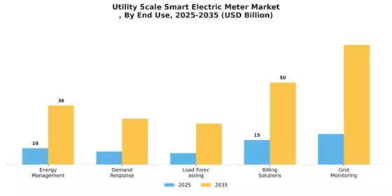 Utility Scale Smart Electric Meter Market
 Segment Image 3