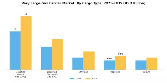 Very Large Gas Carrier Market
 Segment Image 2