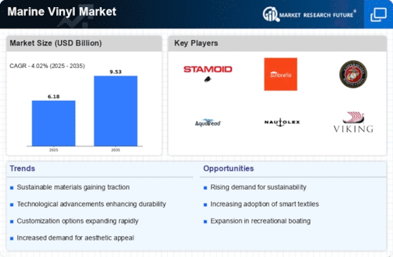 Marine Vinyl Market Infographic