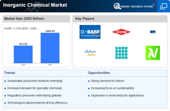 Inorganic Chemical Market Infographic