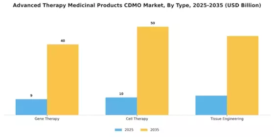 Advanced Therapy Medicinal Products Cdmo Market Segment Image 0