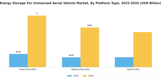 Energy Storage For Unmanned Aerial Vehicle Market Segment Image 3