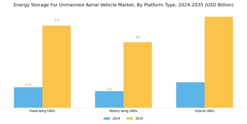 Energy Storage For Unmanned Aerial Vehicle Market Segment Image 3