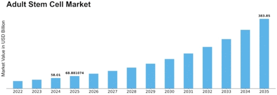 Adult Stem Cell Market Size