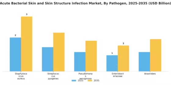 Acute Bacterial Skin Skin Structure Infection Market Segment Image 1