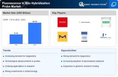 Fluorescence In Situ Hybridization Probe Market Infographic
