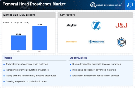 Femoral Head Prostheses Market Infographic