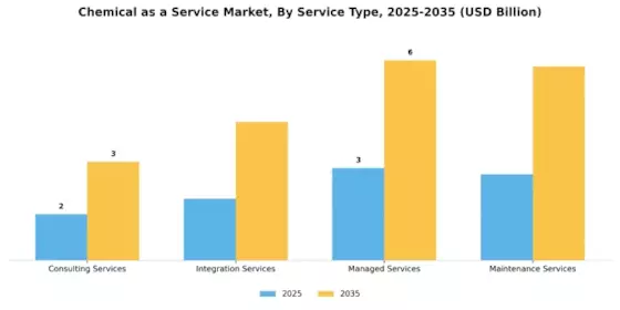 Chemical as a Service Market Segment Image 1