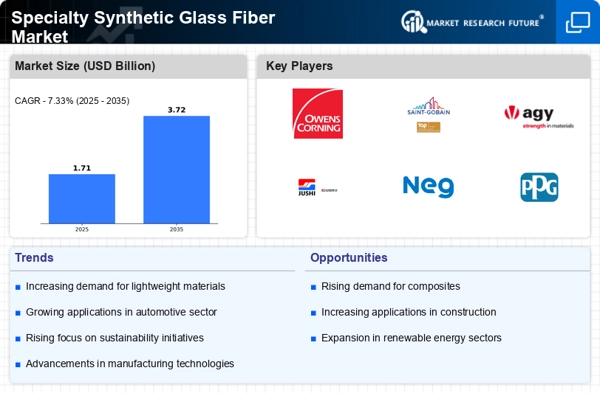 Specialty Synthetic Glass Fiber Market Infographic