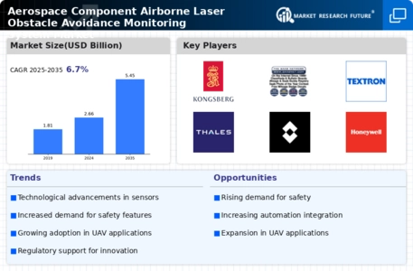 Aerospace Component Airborne Laser Obstacle Avoidance Monitoring System Market Infographic Aerospace Component Airborne Laser Obstacle Avoidance Monitoring System Market Infographic
