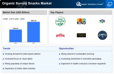 Organic Savory Snacks Market Infographic