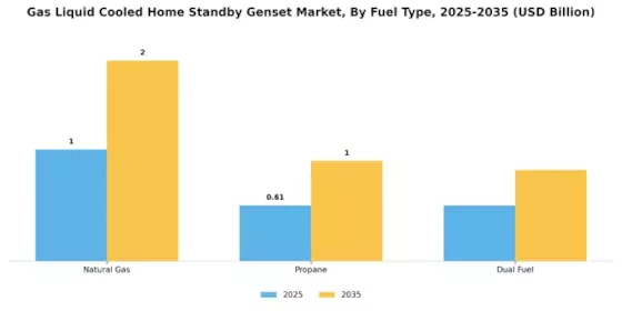 Gas Liquid Cooled Home Standby Genset Market Segment Image 1