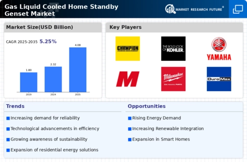 Gas Liquid Cooled Home Standby Genset Market Infographic Gas Liquid Cooled Home Standby Genset Market Infographic