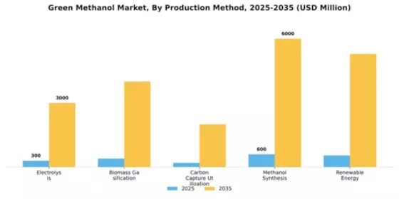Green Methanol Market Segment Image 2