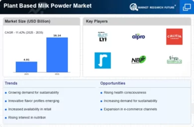 Plant Based Milk Powder Market Infographic