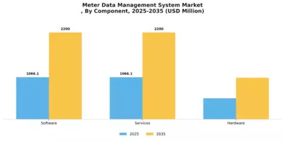 Meter Data Management System Market Segment Image 1