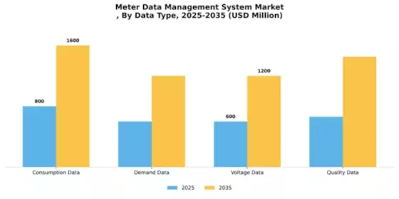 Meter Data Management System Market Segment Image 2