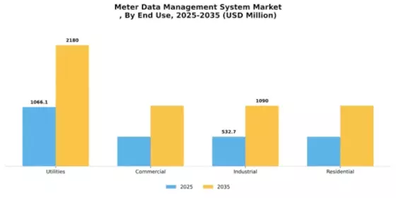 Meter Data Management System Market Segment Image 4