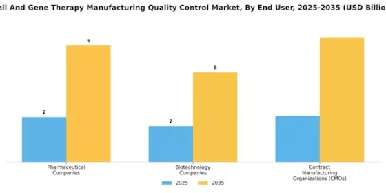 Cell Gene Therapy Manufacturing Quality Control Market Segment Image 4