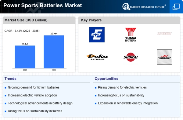 Power Sports Batteries Market Infographic
