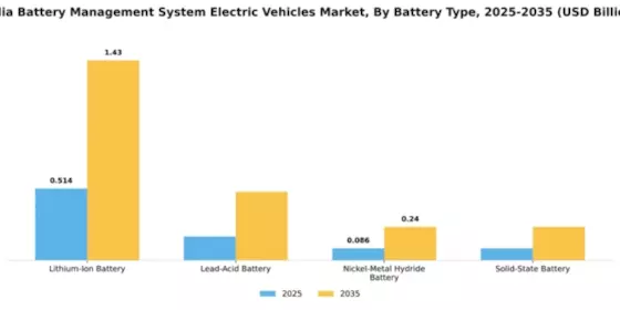 India Battery Management System (BMS) for Electric Vehicles Market Segment Image 1