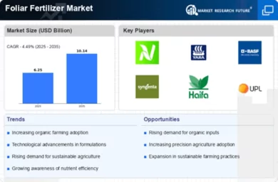 Foliar Fertilizer Market Infographic