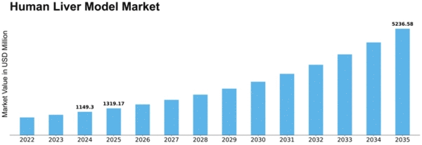 Human Liver Model Market  Size