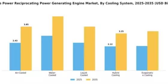 Prime Power Reciprocating Power Generating Engine Market Segment Image 1