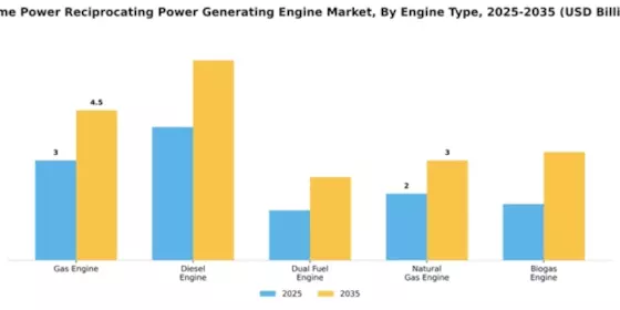 Prime Power Reciprocating Power Generating Engine Market Segment Image 3