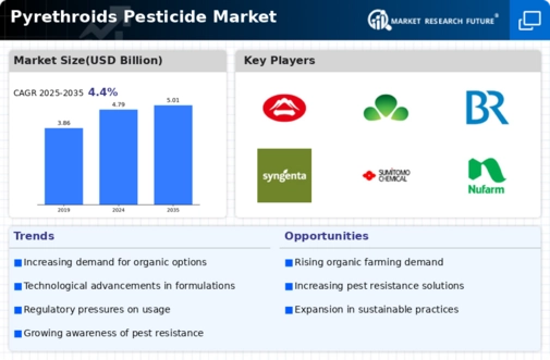 Pyrethroids Pesticide Market Infographic