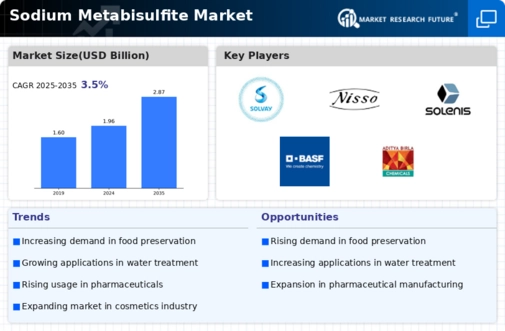 Sodium Metabisulfite Market Infographic