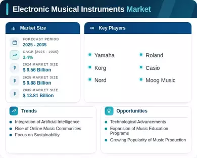 Electronic Musical Instruments Market Infographic