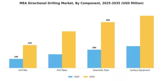 MENA Directional Drilling Market Segment Image 1