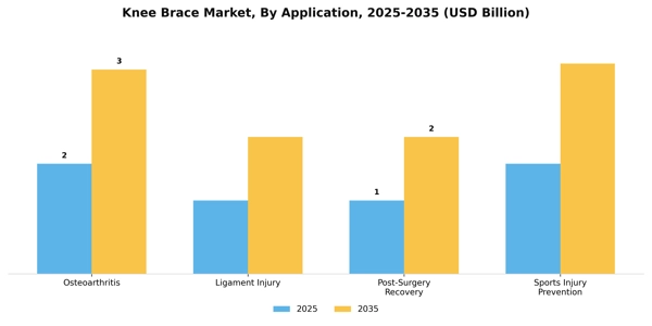 Knee Brace Market Segment Image 0