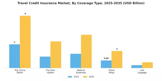 Marché de l'Assurance Voyage Crédit Segment Image 0