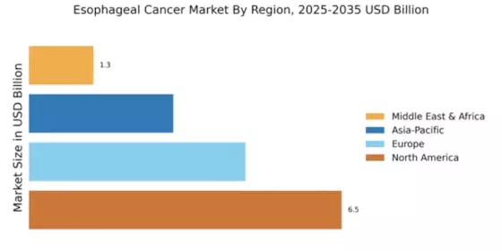 Esophageal Cancer Market Regional Image
