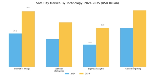 Safe City Market  Segment Image 1