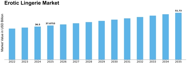 Erotic Lingerie Market Size