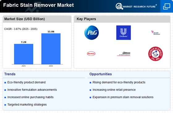 Fabric Stain Remover Market Infographic